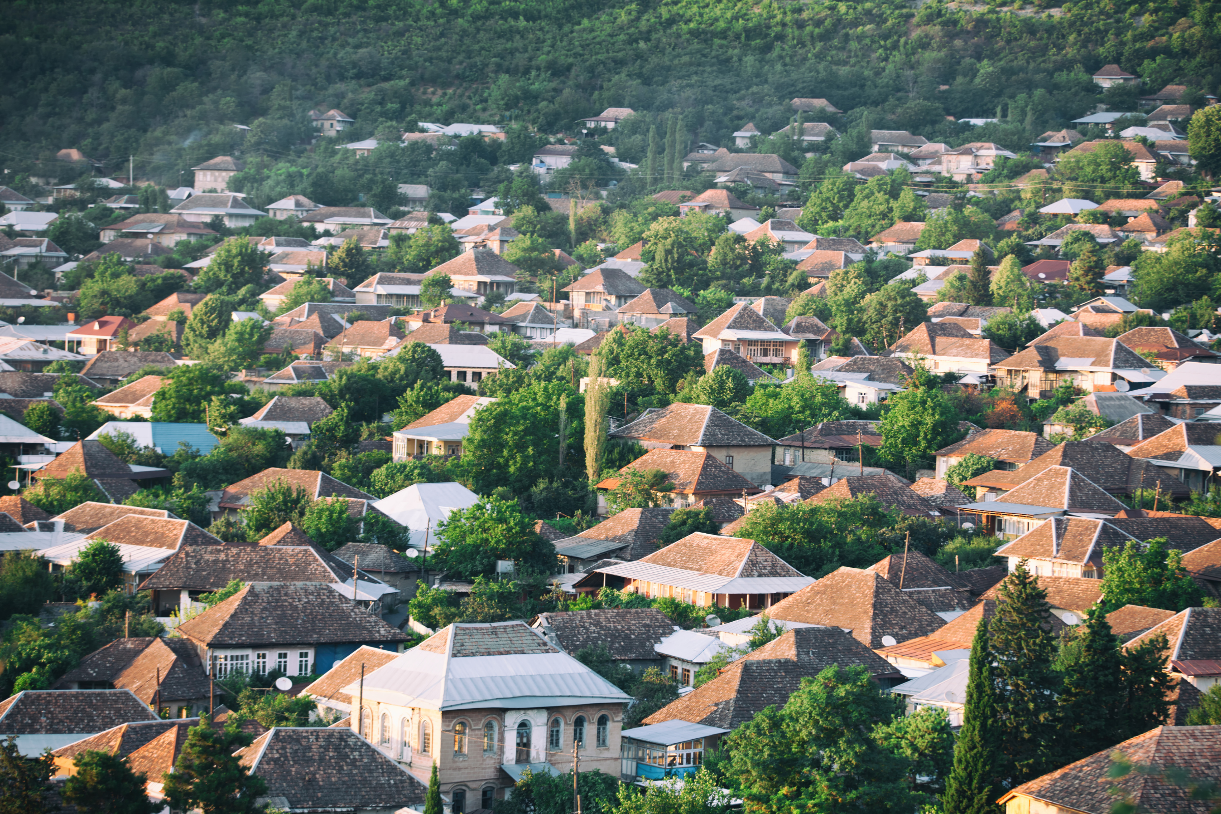 sheki (4).webp